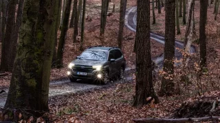 Hledáme pozůstatky Baťovy dálnice. Uprostřed Chřibů je jich spousta, ale některé jsou docela skryté