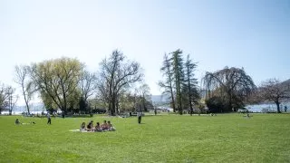 Ford trip, Čínská zahrada Curych