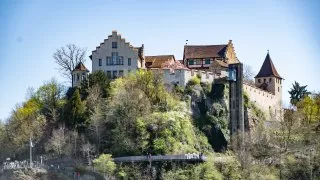 Ford trip, Rýnské vodopády