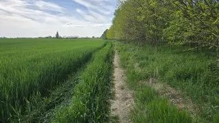 Žitný ostrov, vodní mlýny na kole