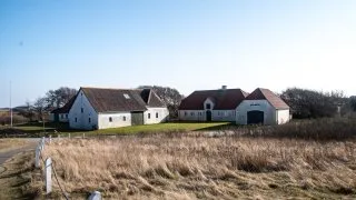 Subaru trip Dánsko, Romo, Mando