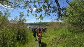 Žitný ostrov, kajak