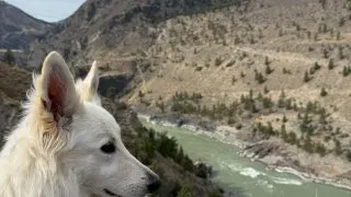 Fotr na tripu 10, Alberta vs Kolumbie