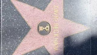 Fotr na tripu 12, Hollywood