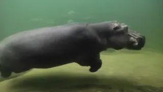 Vánoční trhy - Wroclaw