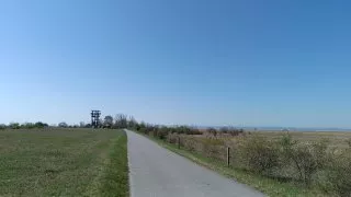 Neusiedler See