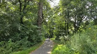 inline Bečva Přerov Lipník Hranice