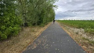 Flaeming inline