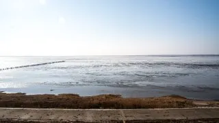 Subaru trip Dánsko, Romo, Mando