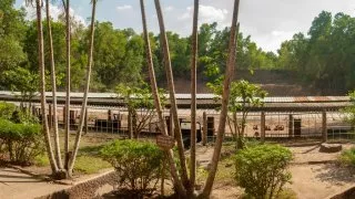 Vietnamská válka, tunely Cu Chi