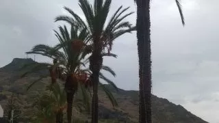Madeira 5