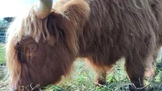 Země Keltů