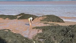 Fotr na tripu 10, Hopewell Cape