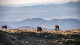 Dacia Bigster, trip Itálie, Bruncu Spina