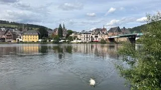 Fotr na tripu 11, Bernkastel-Kues a okolí