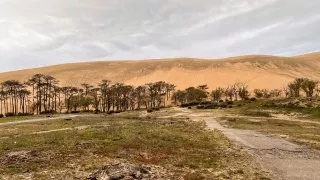 Ford trip, Duna du Pyla