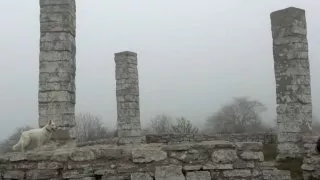 Fotr na tripu 9, Gotland a Stockholm