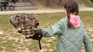 Fotr na tripu 11, Slovensko, sokolnická škola
