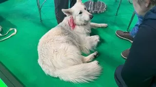 Caravaning Brno 2025