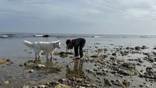 Fotr na tripu 9, Gotland