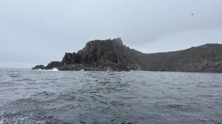 Fotr na tripu 10, velryby