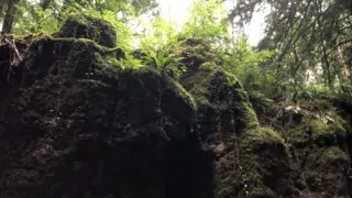 Hikerské dobrodružství v Británii 8