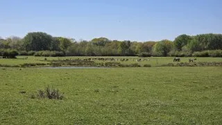 Trip Holandsko, Zeeland, kolo