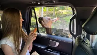 Fotr na tripu 10, Parc Omega