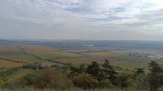 Mikulov