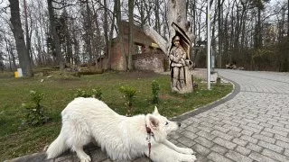 Fotr na tripu 9, Vlčí doupě