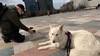 Fotr na tripu 11, Tirana