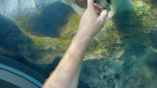 Fotr na tripu 10, medvědi