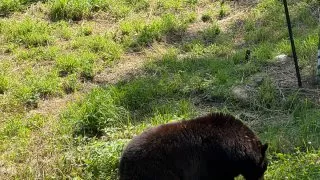 Fotr na tripu 10, Parc Omega