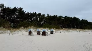 Fotr na tripu 9, Rujána