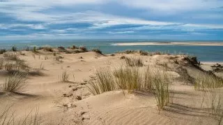 Ford trip, Duna du Pyla