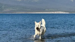 Fotr na tripu 10, kempování v Kanadě