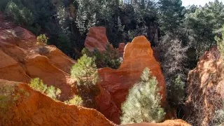 Ford trip, Roussillon