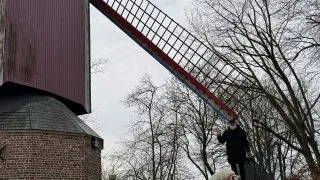 Fotr na tripu 11, Bruggy