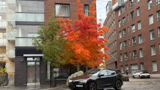 Fotr ve Finsku, design