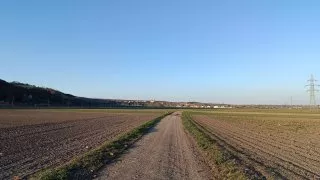 Neusiedler See