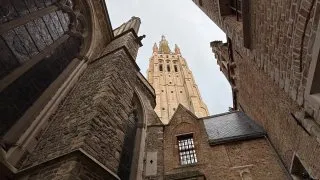 Fotr na tripu 11, Bruggy