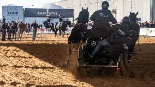Fieracavalli 2025