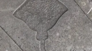 Hikerské dobrodružství v Británii 8