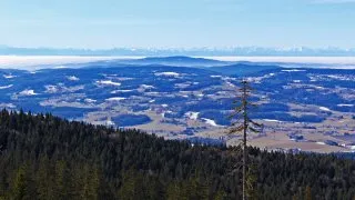 Třístoličník, Šumava