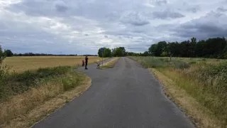 Flaeming inline