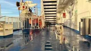 Fotr ve Finsku, trajekt