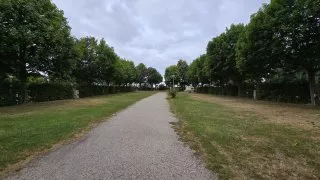 Flaeming inline