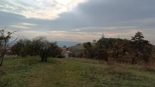 Mikulov