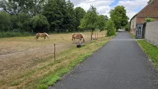 Flaeming inline