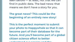 Fotr na tripu 10, velryby